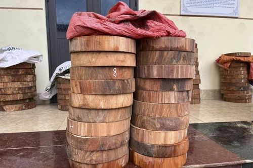 Điện Biên: Bắt 4 đối tượng vận chuyển trái phép 107 lóng gỗ nghiến