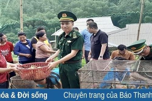 Đổi thay ở vùng đồng bào dân tộc Mông