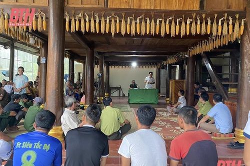 Như Xuân vận động người dân phát giác, tố giác đối tượng có hành vi khai thác rừng trái pháp luật