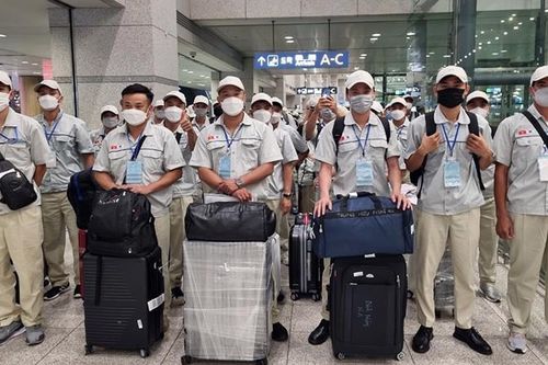 Phạt tiền, thu hồi giấy phép một loạt doanh nghiệp xuất khẩu lao động