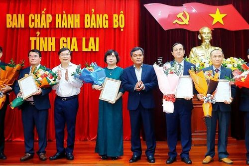 Nâng cao chất lượng đội ngũ cán bộ các cấp