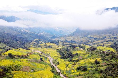 Mùa lúa vàng ở thung lũng di sản quốc gia ruộng bậc thang Thề Pả