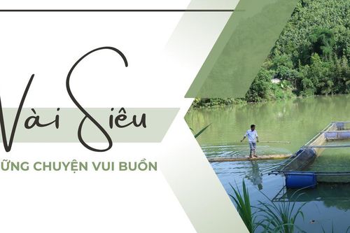 Vài Siêu những chuyện vui buồn