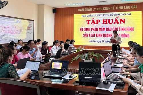 Ban Quản lý Khu kinh tế tỉnh tập huấn hướng dẫn sử dụng phần mềm báo cáo tình hình sản xuất, kinh doanh - lao động
