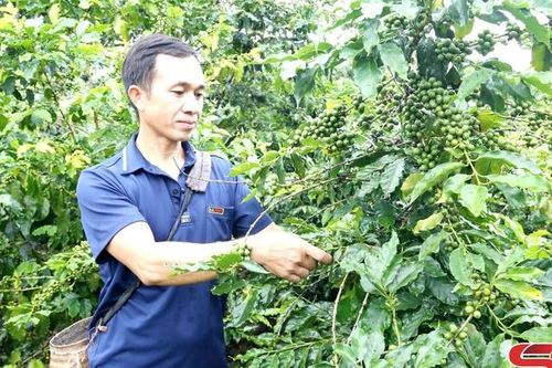 Trưởng ban công tác mặt trận tâm huyết, trách nhiệm