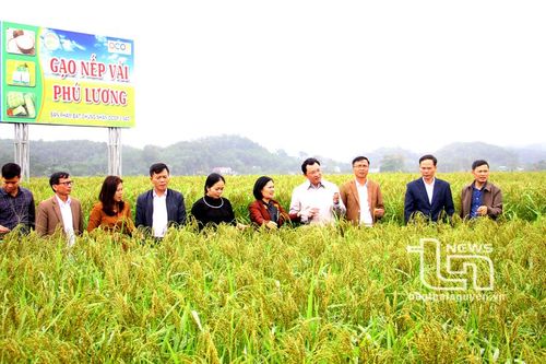 Phú Lương hiện thực hóa mục tiêu sau nửa nhiệm kỳ