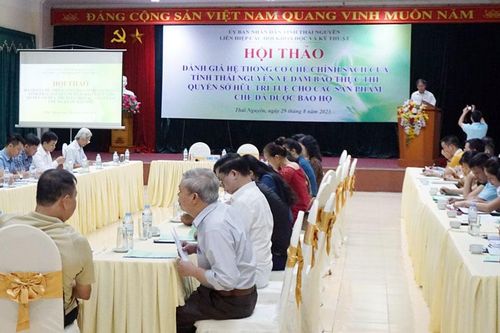 Đảm bảo quyền sở hữu trí tuệ cho sản phẩm chè