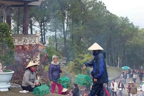 Thừa Thiên Huế: Sở NN&PTNT đề nghị GHPGVN tỉnh tuyệt đối không cho mua bán chim trong chùa