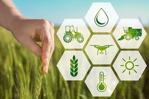 Hiểu sao cho đúng về tầm quan trọng của phát triển nông nghiệp bền vững?