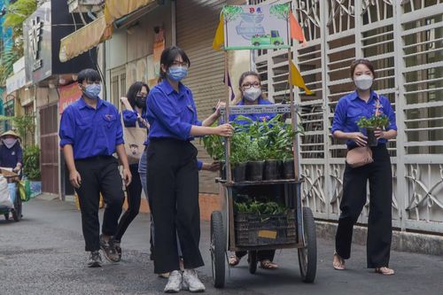 Xây dựng cảnh quan môi trường xanh, sạch, đẹp