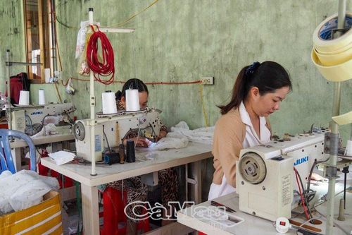 Hiệu quả ưu đãi lao động đặc biệt