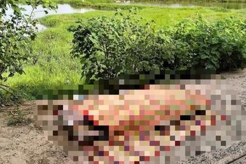 Hai chị em gái mồ côi chết đuối thương tâm