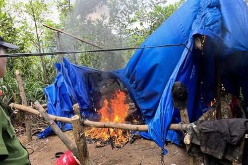 Truy quét, đẩy đuổi vàng tặc ở Bồng Miêu