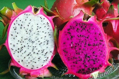 Nên ăn thanh long trắng hay thanh long đỏ?