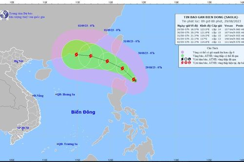 Tin bão mới nhất 29/8: Bão Saola rất mạnh, đang ở gần Biển Đông