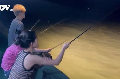 Nở rộ du lịch tự phát 'lên đảo hoang, câu mực đêm' trên vịnh Hạ Long