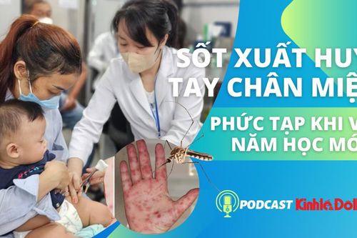 Cảnh báo sốt xuất huyết, tay chân miệng... phức tạp dịp năm học mới