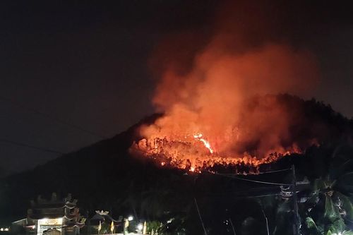 Phú Yên: Liên tiếp xảy ra 2 vụ cháy, thiệt hại 46ha rừng trồng