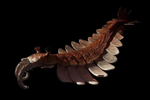 3 quái vật khủng khiếp nhất đại dương cổ đại: Megalodon chưa là gì!