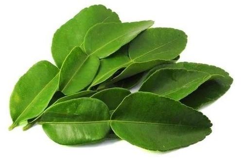 Lá cây 'rẻ như cho' ở Việt Nam sang nước ngoài 'đắt như tôm tươi'
