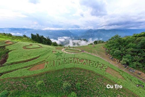 Lên Núi Tình Si Ma Cai ngắm hoa tam giác mạch bung nở dịp 2/9
