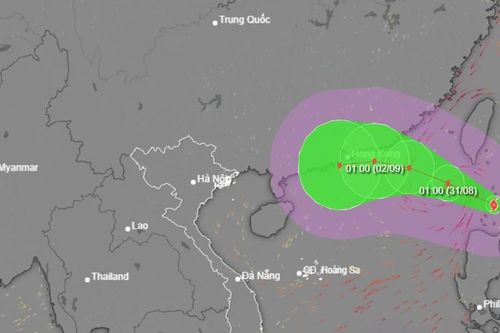 Bão Saola giật cấp 17 áp sát Biển Đông, di chuyển khó lường do thêm bão Haikui