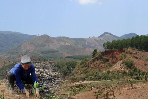 Thanh Hóa: Hỗ trợ trên 20.000 hộ dân thiếu đất sản xuất và đất ở