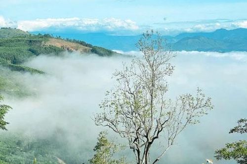 Khánh Hòa: Quy hoạch 2 huyện miền núi theo hướng đô thị tiểu vùng sinh thái rừng