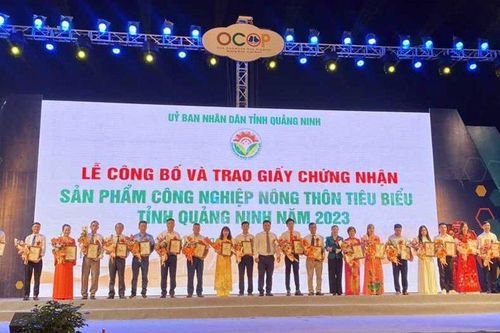 Quảng Ninh: Khai trương sàn thương mại điện tử OCOP