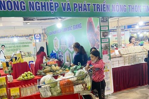 Bắc Giang: Hiệu quả từ mô hình kinh tế tập thể theo phương thức sản xuất gắn với chuỗi giá trị, ứng dụng công nghệ cao