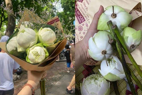 Mua hoa sen chụp ảnh đu trend mùa thu Hà Nội, dân mạng mách nhau cẩn thận 1 điều