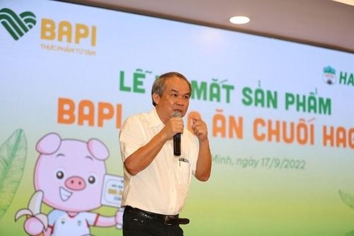 Hoàng Anh Gia Lai tiếp tục bị cảnh báo rủi ro phá sản