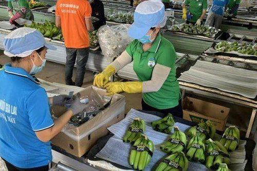 Lãi 9 quý liên tiếp, vì sao HAGL của Bầu Đức vẫn bị kiểm toán nghi ngờ khả năng hoạt động liên tục?