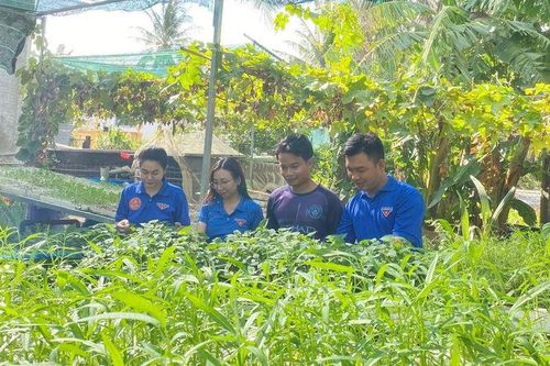 Huyện đoàn Tri Tôn hỗ trợ thanh niên dân tộc thiểu số Khmer khởi nghiệp