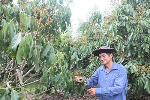 Hội viên, nông dân quyết tâm xây dựng quê hương Đất Sen hồng ngày càng giàu đẹp