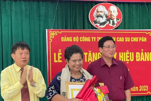 Chư Păh: 18 đảng viên được tặng Huy hiệu Đảng dịp 2-9