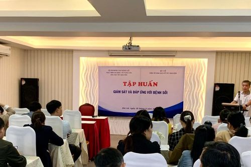 Tập huấn 'Giám sát và đáp ứng với bệnh sởi' cho cán bộ y tế Gia Lai