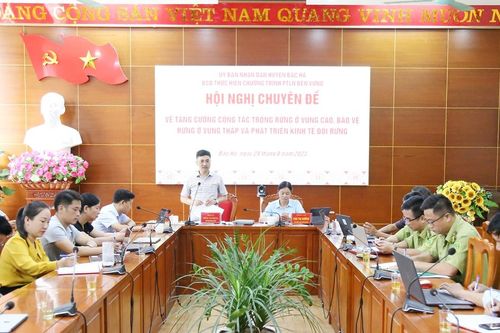 Bắc Hà triển khai công tác trồng, bảo vệ rừng