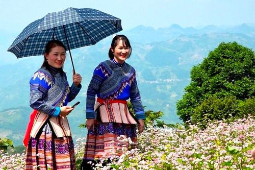 Đón tết Độc Lập cùng người Mông ở thượng nguồn sông Chảy