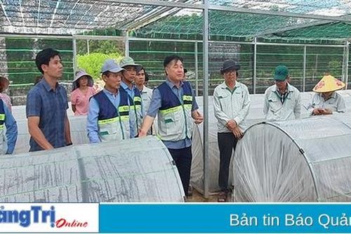 Ứng dụng kỹ thuật ươm cải tiến sản xuất cây giống lâm nghiệp