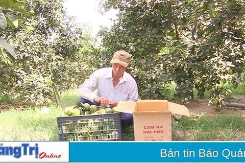 Nâng tầm nông sản từ sản phẩm OCOP ở Hải Lăng