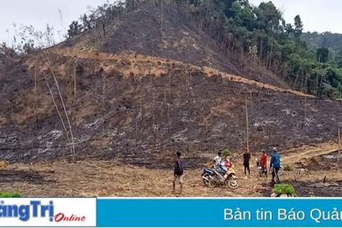 Một gia đình ở xã Linh Trường lấn chiếm 6,32 ha đất rừng phòng hộ nhưng không bị xử lý