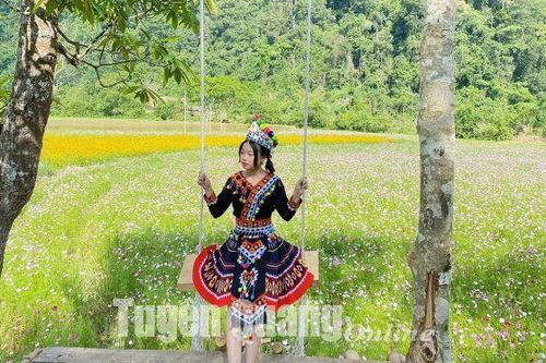 Giấc mơ Cao Đường