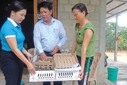Trao sinh kế, giúp hội viên phát triển kinh tế