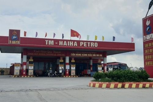 Thái Bình: Công ty TNHH Vận tải thủy bộ Hải Hà nợ thuế trên 1.736 tỷ đồng