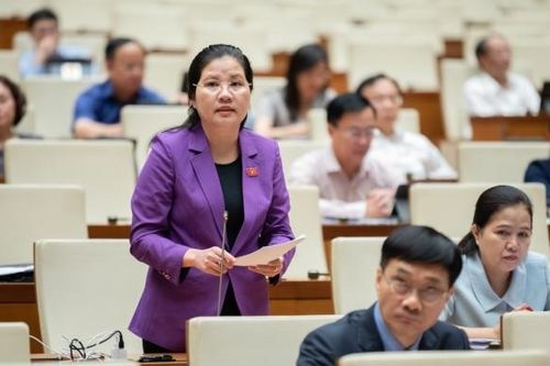 Lo ngại trục lợi chính sách khi mở rộng đối tượng nhận chuyển quyền sử dụng đất nông nghiệp