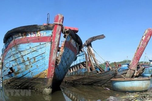 Điểm tin Môi trường ngày 30/8: Chung tay dọn sạch hơn 400 tấn rác thải ở Sa Huỳnh