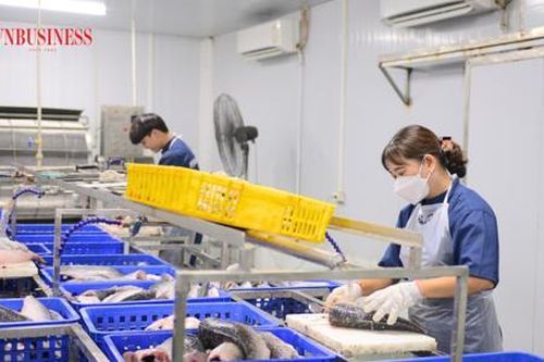 Tháo 'nút thắt' tín dụng cho doanh nghiệp nhỏ và vừa: Cân nhắc cho vay thế chấp, tín chấp