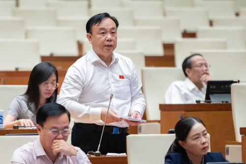 ĐBQH băn khoăn việc doanh nghiệp mua đất nông nghiệp xây nhà ở thương mại