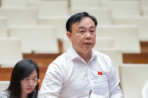 ĐBQH: 'Nghị quyết thì thuộc làu làu nhưng chỉ trích những câu mình cần'